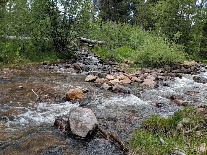 Yellow Pine Campground Picture 4