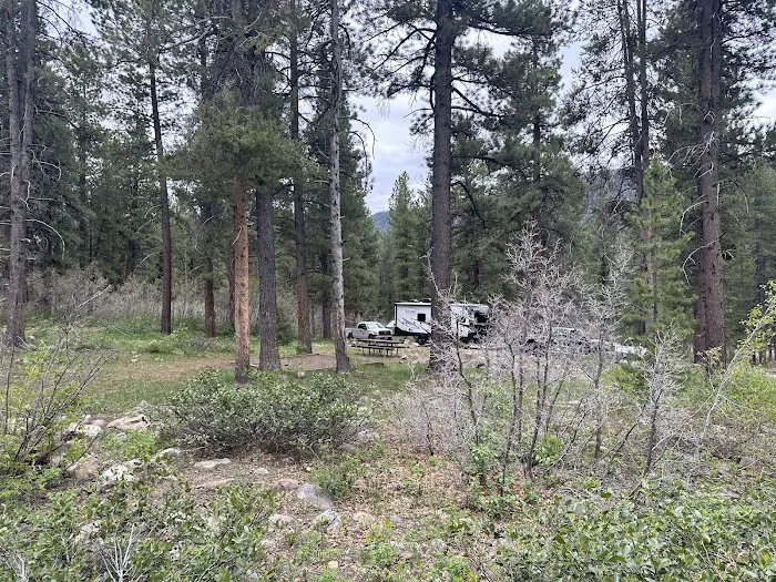 Yellow Pine Campground Picture 3