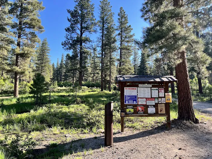 Yellow Pine Campground Picture 9