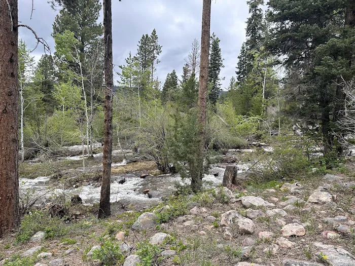 Yellow Pine Campground Picture 1