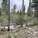 Yellow Pine Campground