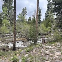 Yellow Pine Campground ico