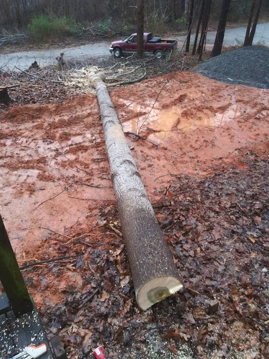 Dogwood Hills Mobile Home Comm Picture 9