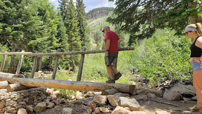 Shingle Creek ATV Campground Picture 4