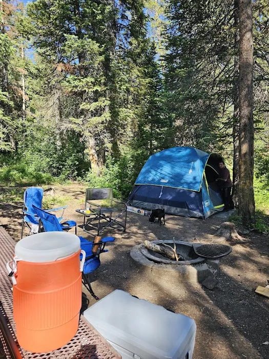 Shingle Creek ATV Campground Picture 5