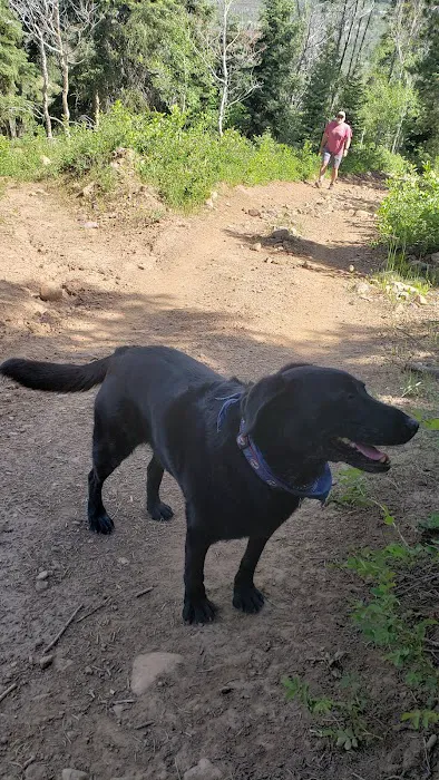 Shingle Creek ATV Campground Picture 3