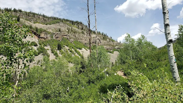 Shingle Creek ATV Campground Picture 10