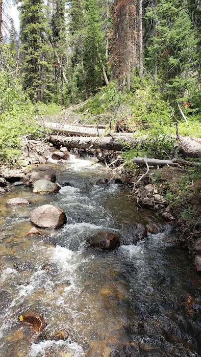 Shingle Creek ATV Campground Picture 7