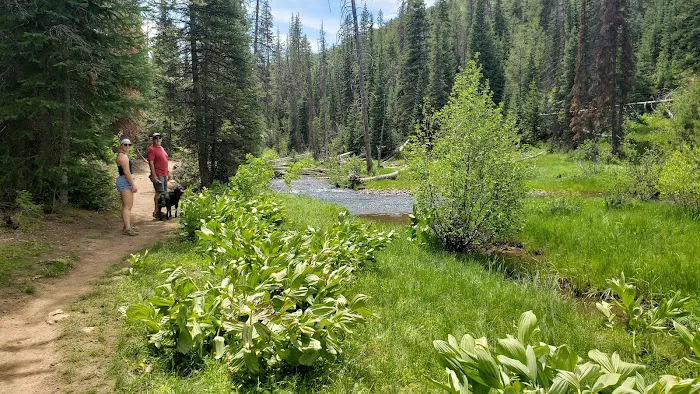 Shingle Creek ATV Campground Picture 8