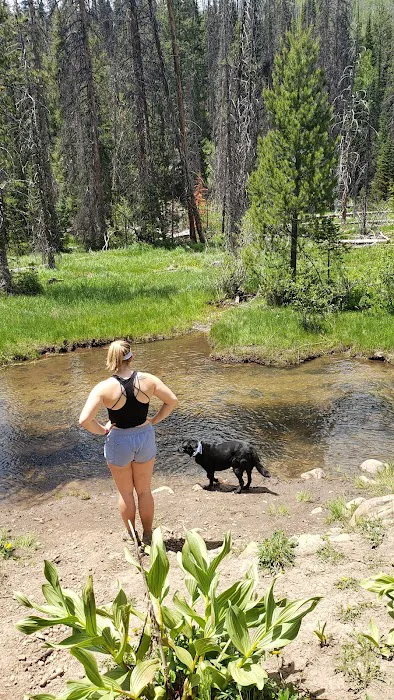 Shingle Creek ATV Campground Picture 9