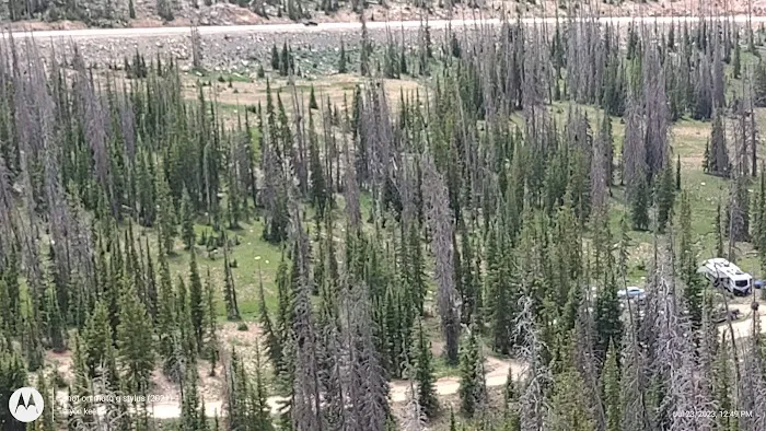 Pine Valley North Campground Picture 6