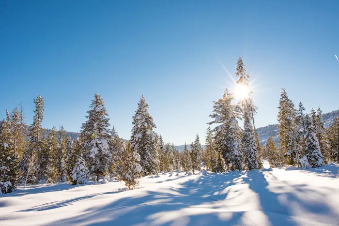 Pine Valley North Campground Picture 3