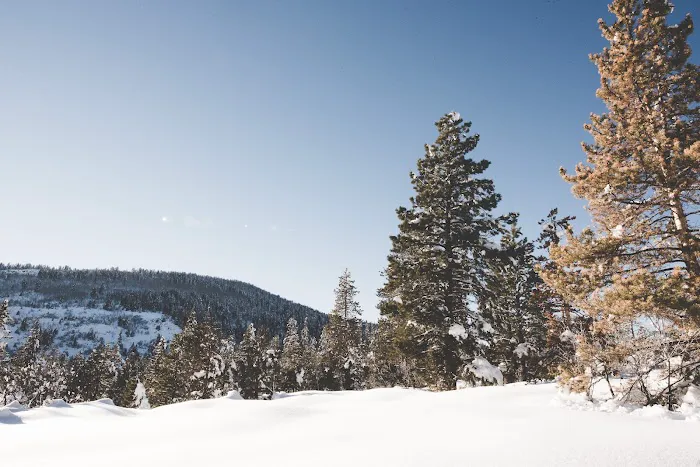 Pine Valley North Campground Picture 5