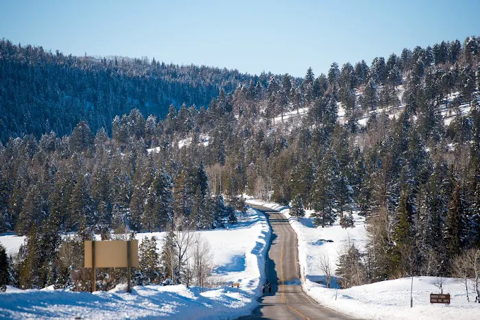 Pine Valley North Campground Picture 4