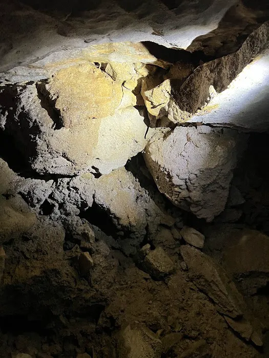 Sasquatch Farm Scenic RV Park & Campground Picture 3