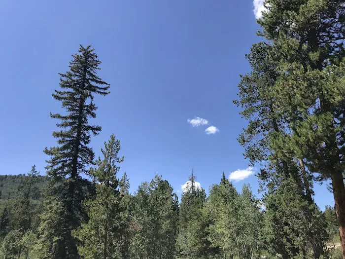 Pine Valley Group Campground Picture 3