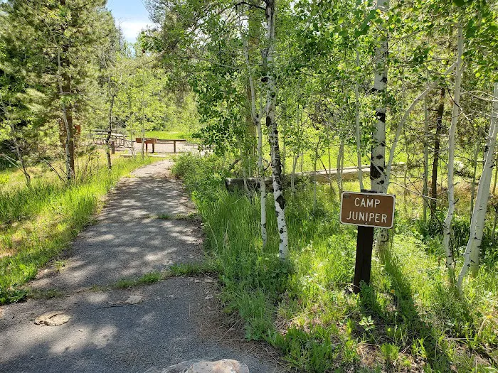 Pine Valley Group Campground Picture 6