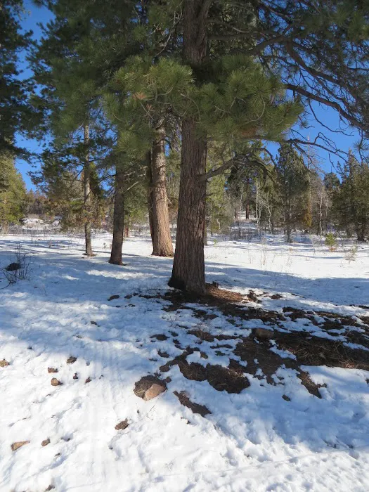 Pine Valley Group Campground Picture 7