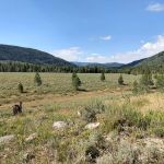 Pine Valley Group Campground