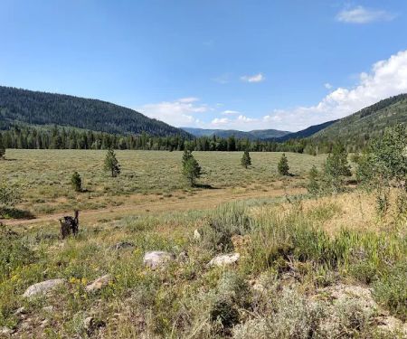 Pine Valley Group Campground