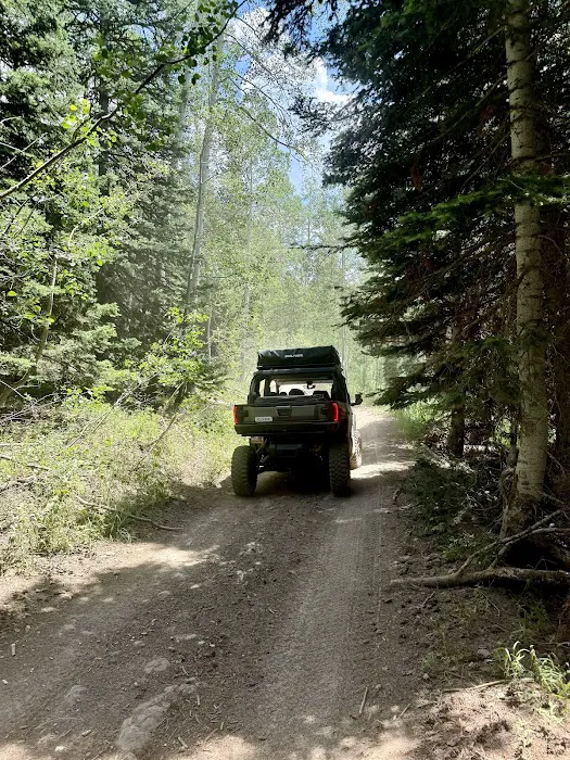 Pine Valley Group Campground Picture 4