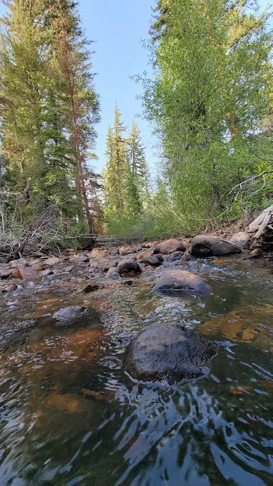 Pine Valley Group Campground Picture 10