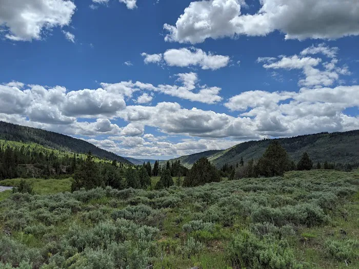 Lower Provo River Campground Picture 1
