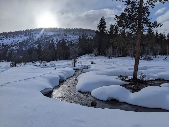 Lower Provo River Campground Picture 7