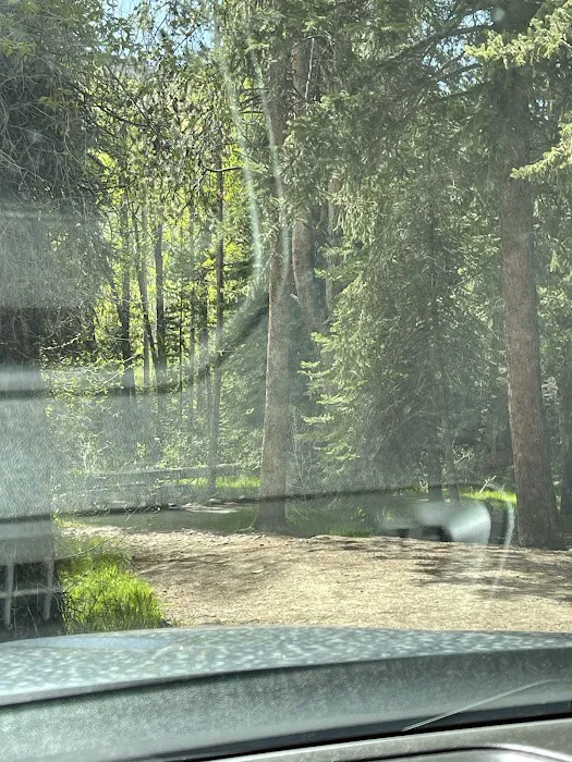 Lower Provo River Campground Picture 5