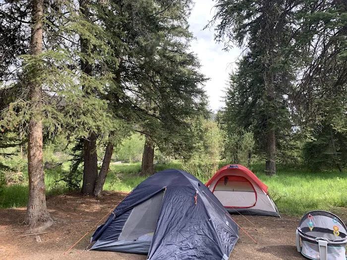 Lower Provo River Campground Picture 8