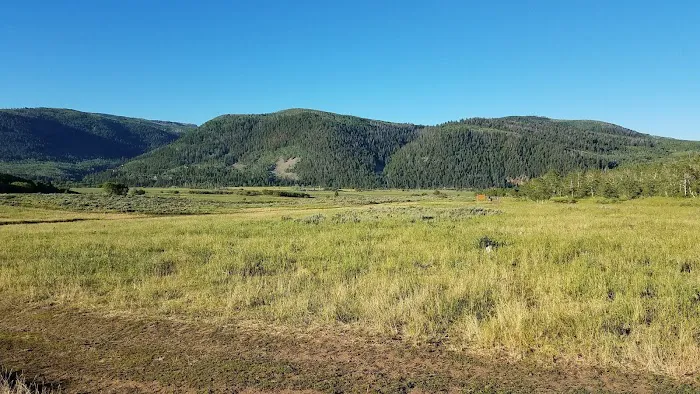 Cedar Hollow Picture 5