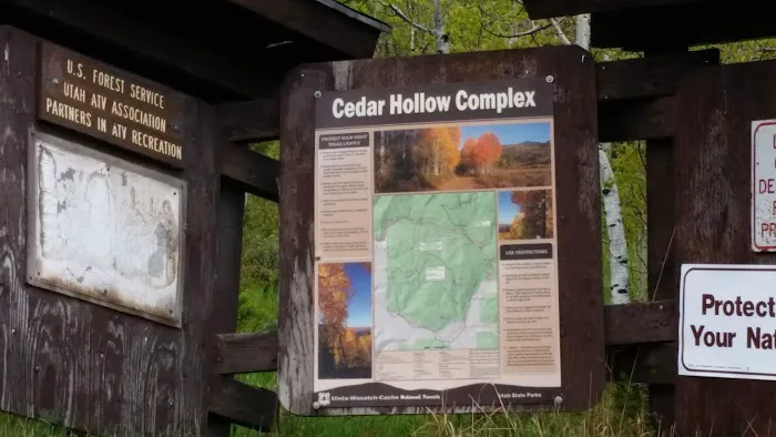 Cedar Hollow Picture 6