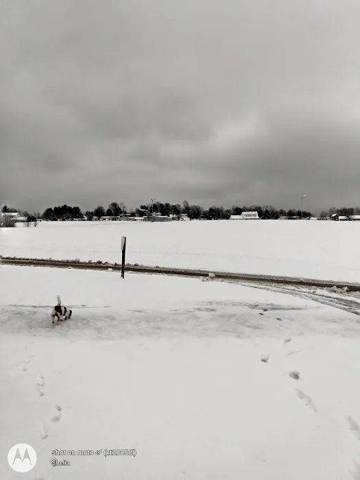 Lake Cumberland RV Park Picture 8