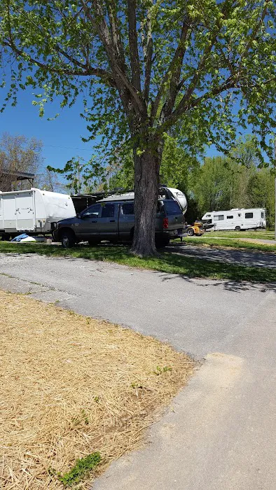 Shoreline RV Park Picture 6