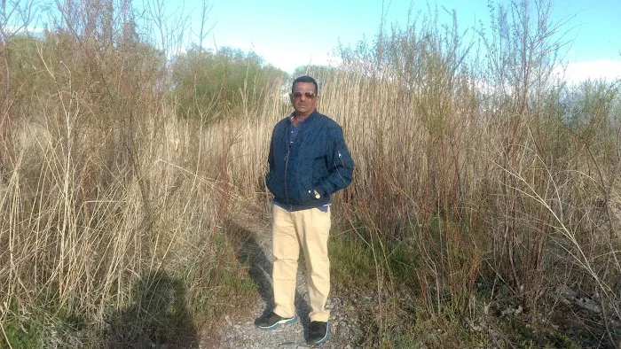 Timp Marina Boat Club Picture 4