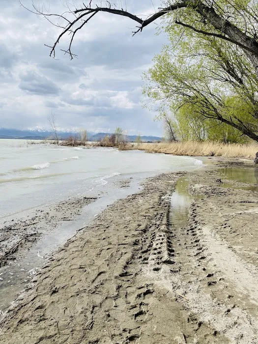 Timp Marina Boat Club Picture 3