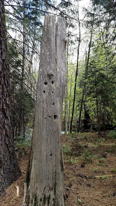 American Land & Leisure Picture 2