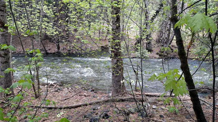 American Land & Leisure Picture 7