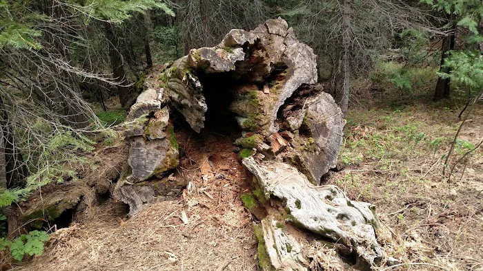 American Land & Leisure Picture 4