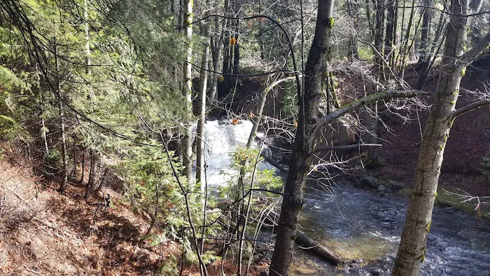 American Land & Leisure Picture 6