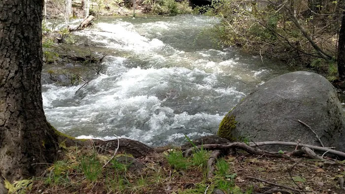 American Land & Leisure Picture 8