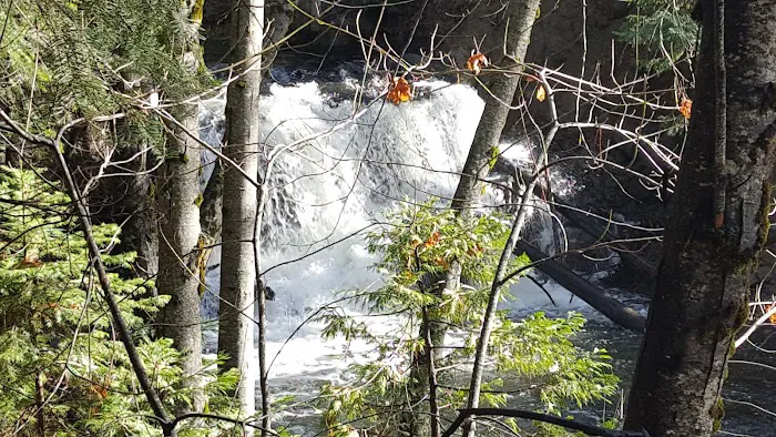 American Land & Leisure Picture 10