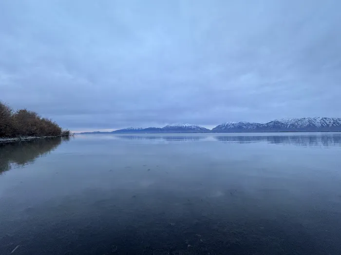 Bird Island Picture 4