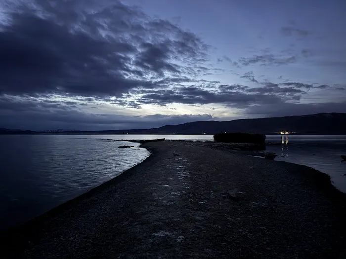 Bird Island Picture 7