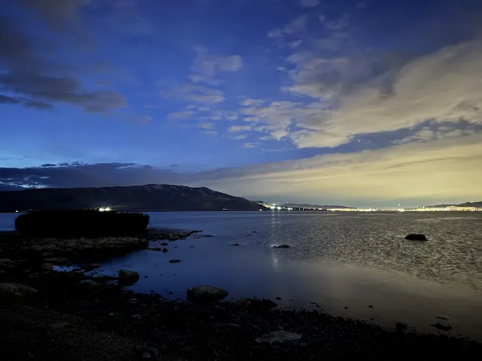 Bird Island Picture 1