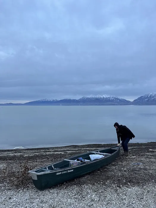 Bird Island Picture 2