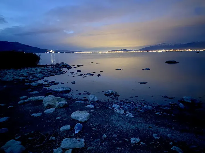 Bird Island Picture 8