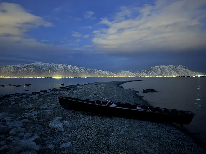 Bird Island Picture 3