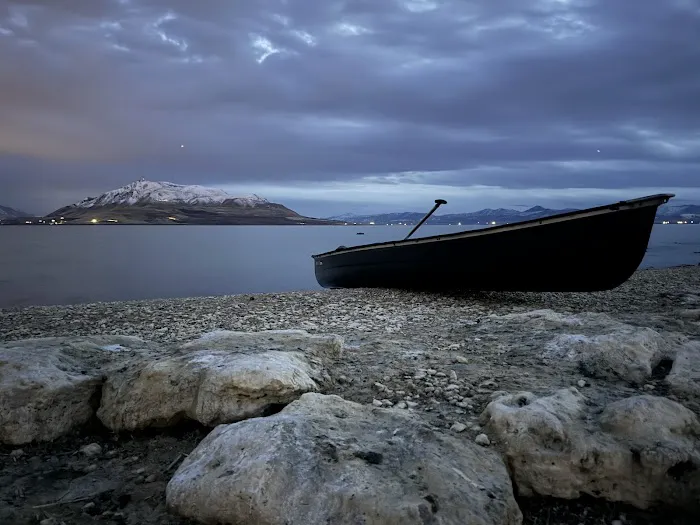 Bird Island Picture 5