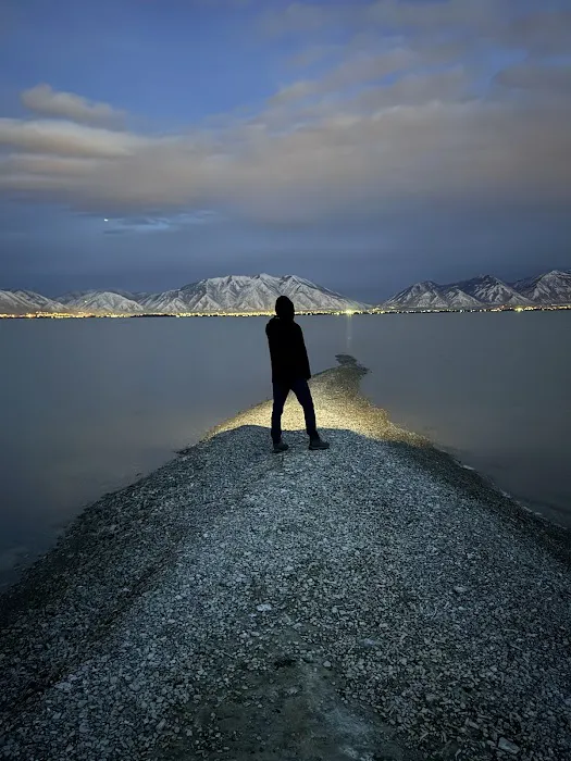 Bird Island Picture 9